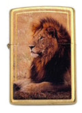Personalized American Classic Elegant Design Lighter Zippo - Free Engraving - Christmas, Halloween & Valentines Day Gift (Tree)